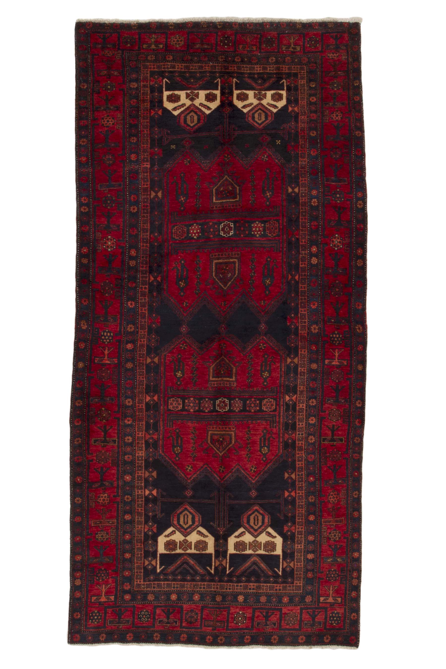 Image Lable BlueOne30-10-19-14:22:19