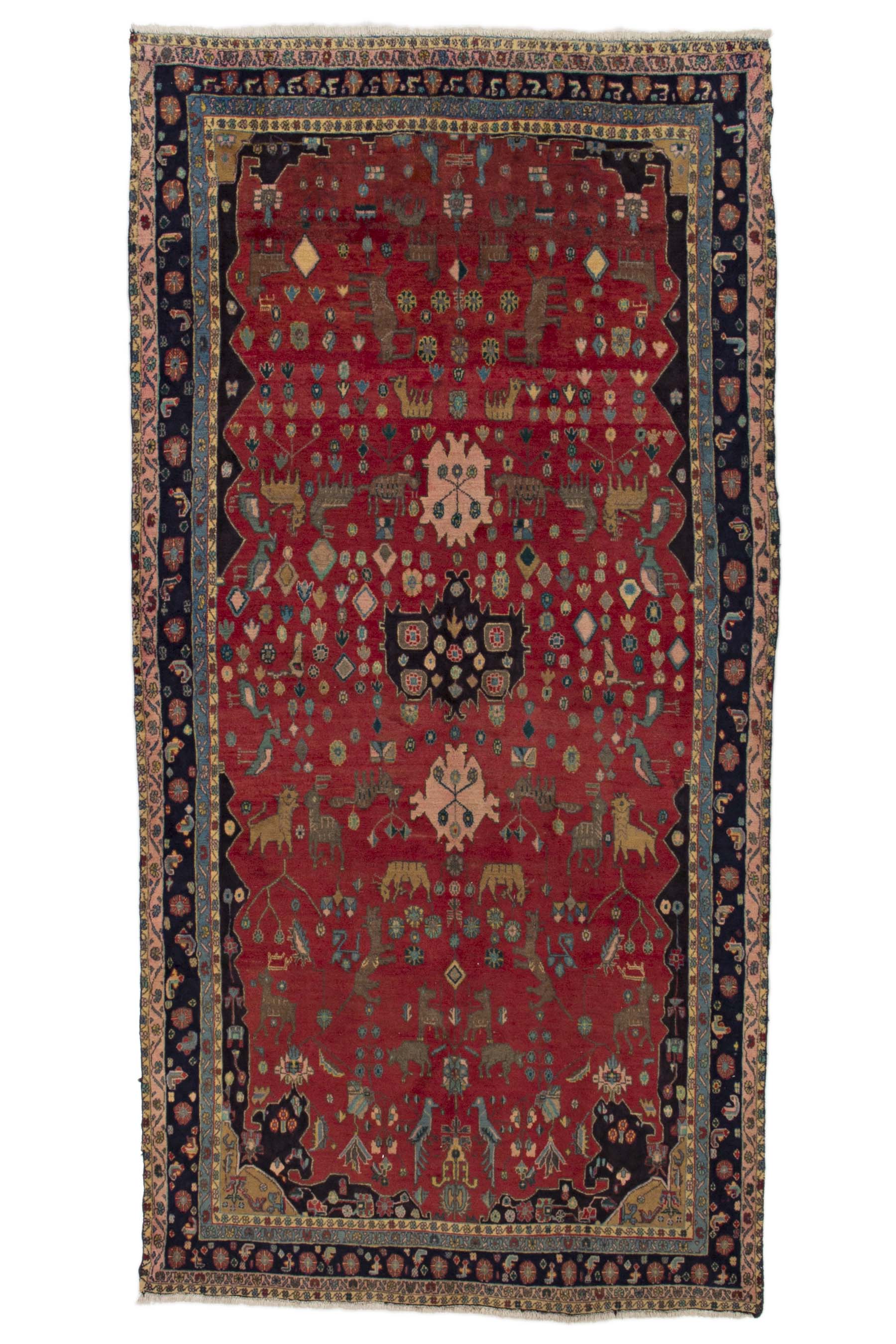 Image Lable BlueOne30-10-19-14:26:03