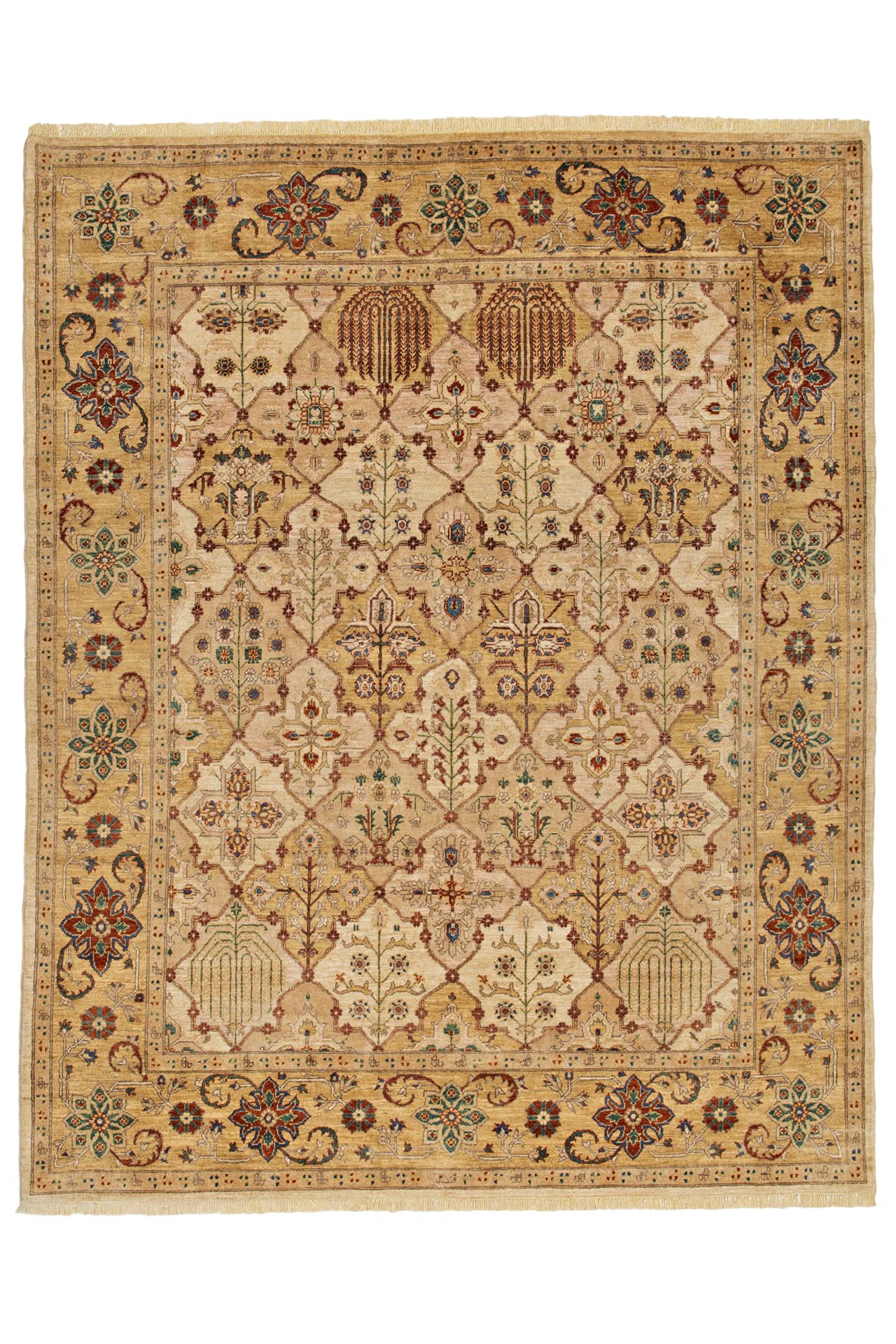 Image Lable BlueOne22-01-20-15:50:32