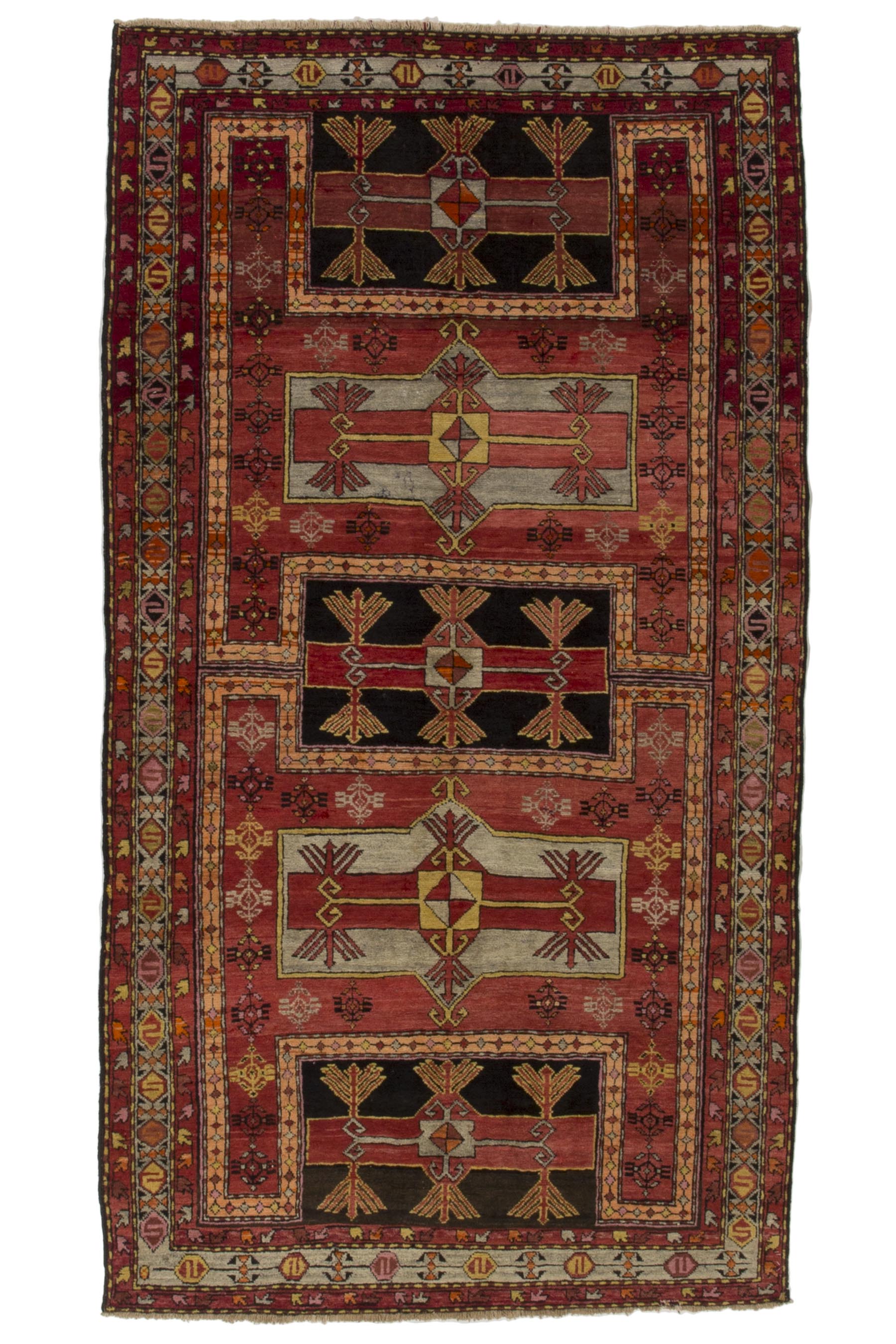 Image Lable BlueOne10-10-19-18:04:17