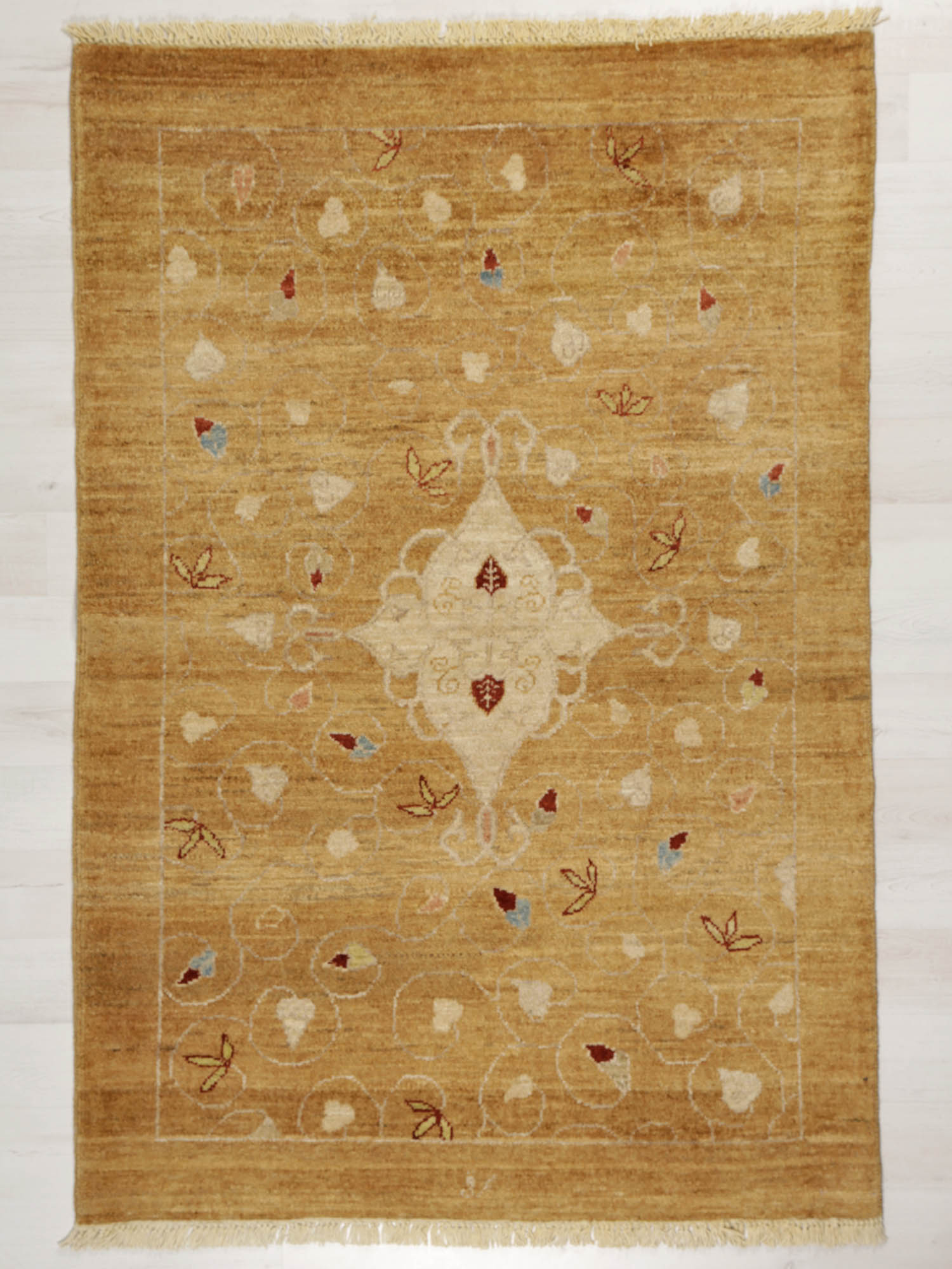 Image Lable BlueOne23-01-20-08:20:09