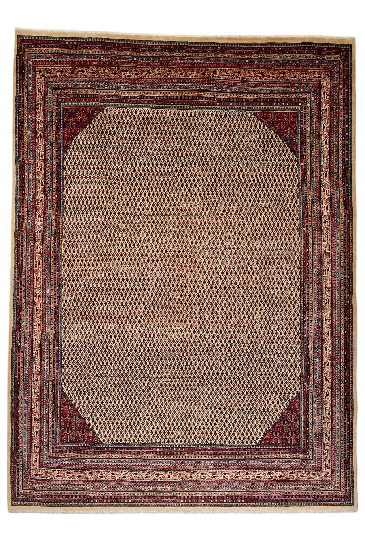 Image Lable BlueOne27-05-20-14:30:24