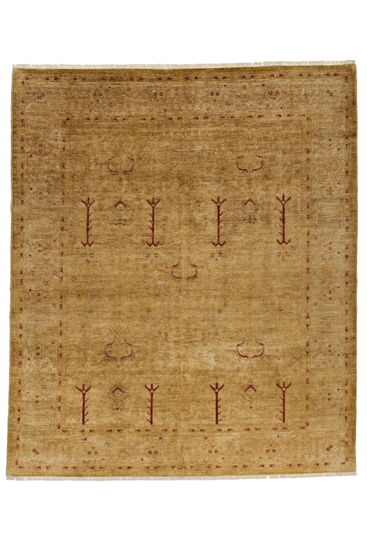 Image Lable BlueOne23-01-20-13:23:05