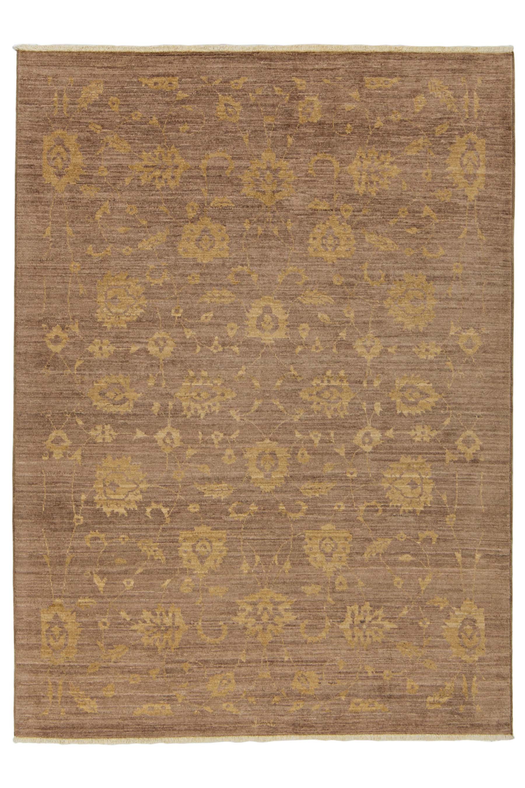 Image Lable BlueOne23-01-20-14:35:12