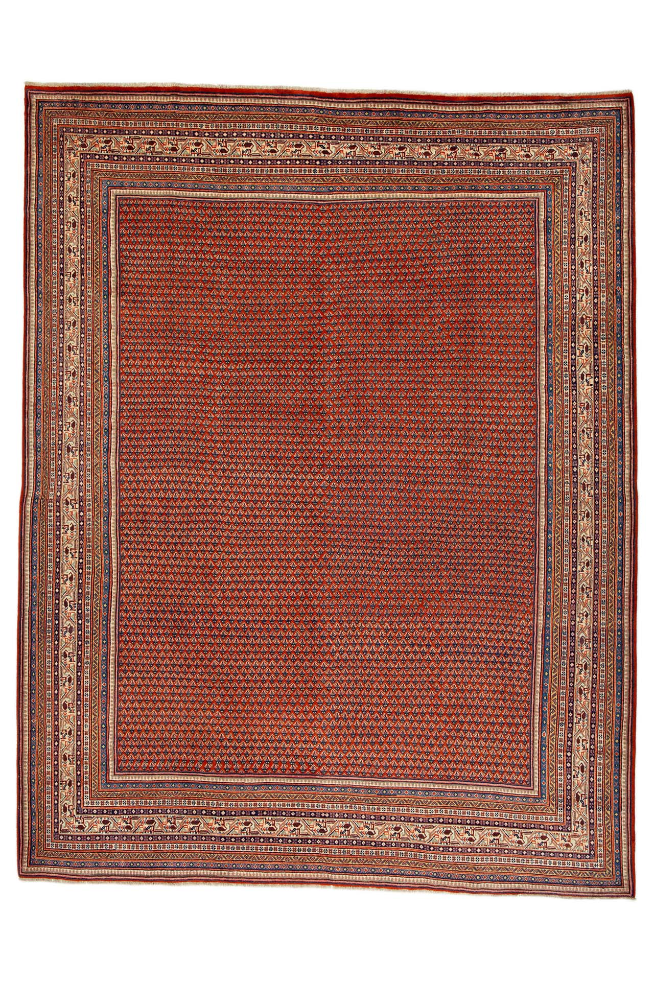 Image Lable BlueOne27-05-20-16:33:05