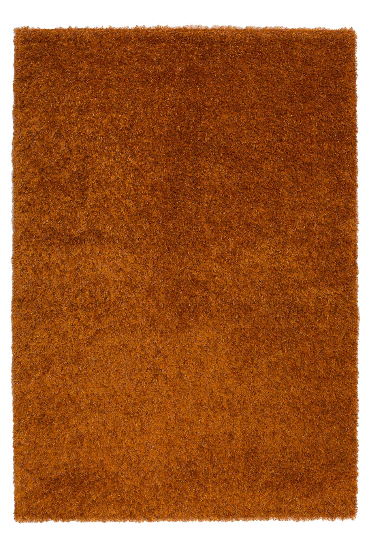 Image Lable BlueOne23-04-20-08:27:05