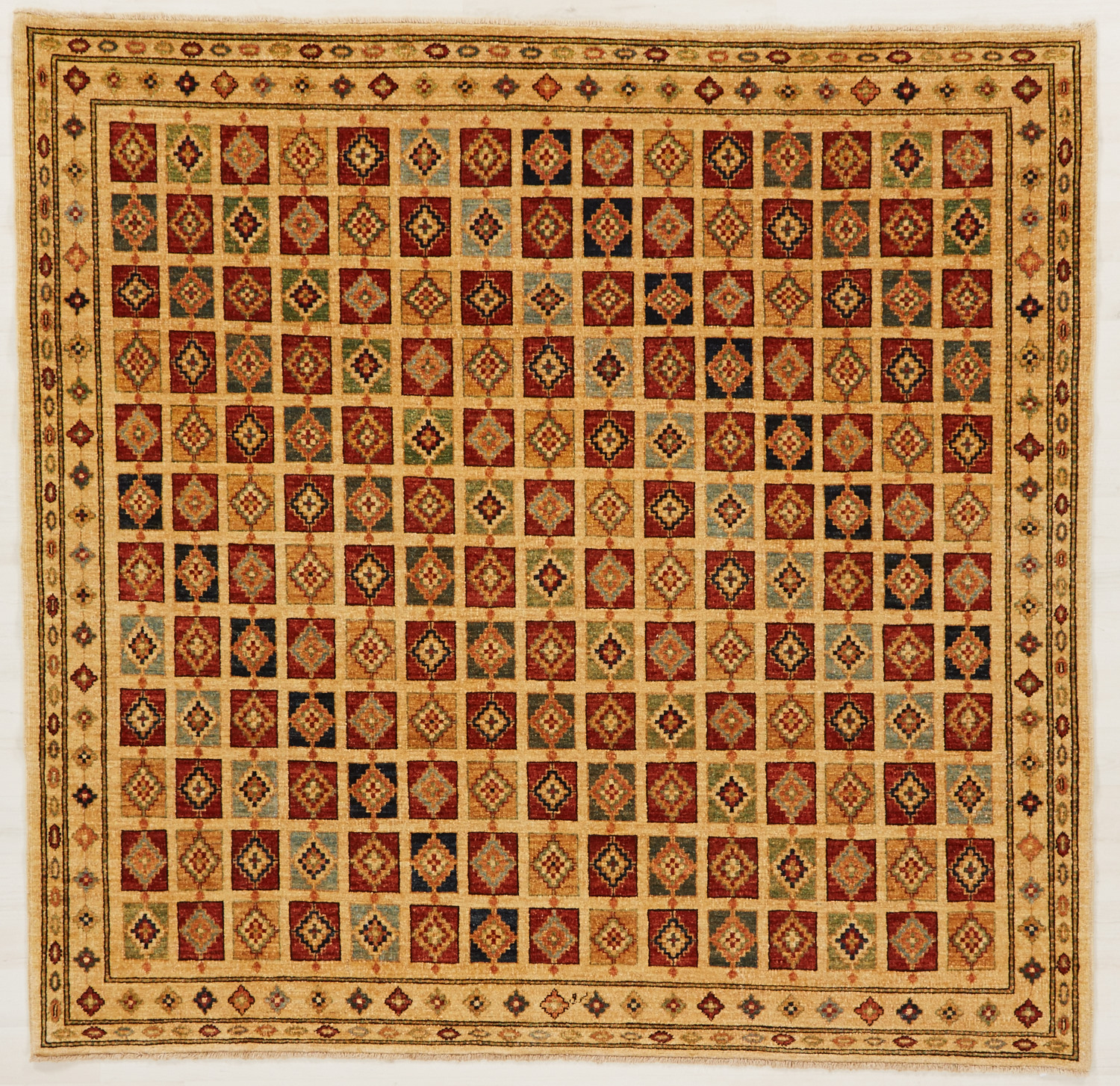 Image Lable BlueOne24-10-19-16:26:37