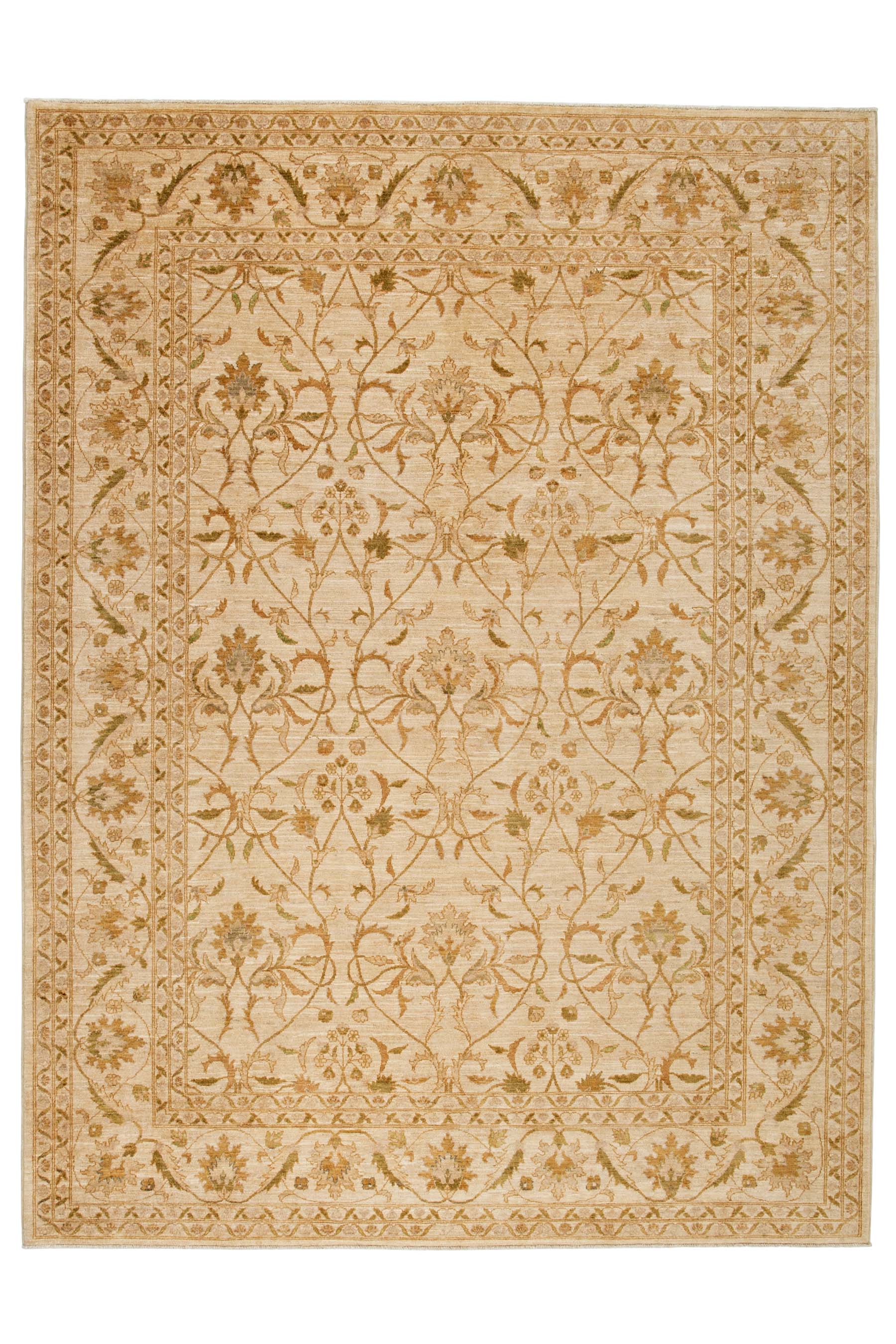 Image Lable BlueOne23-01-20-15:50:24