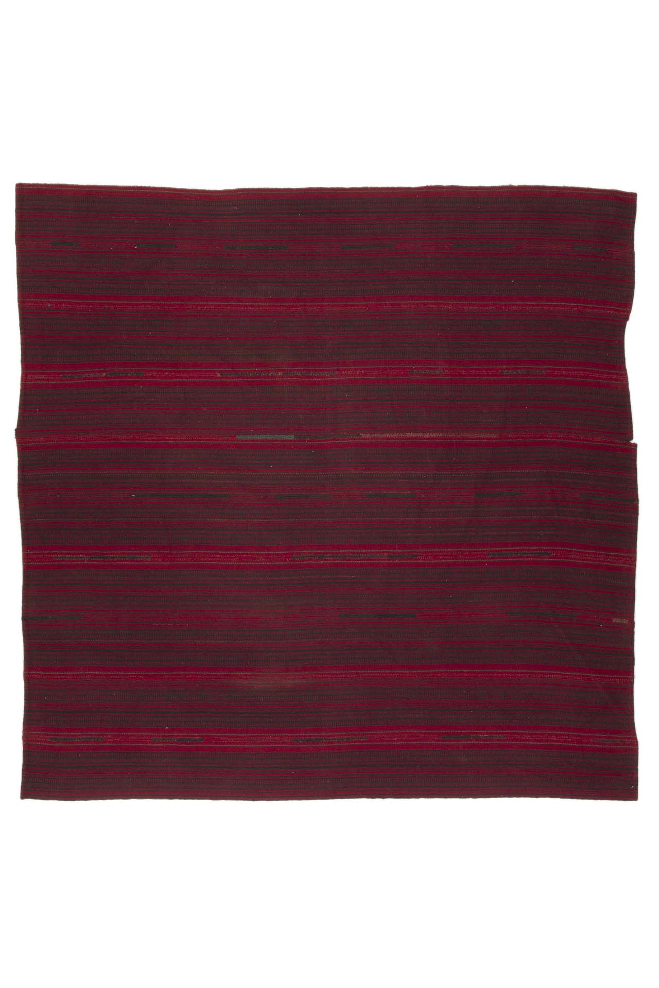 Image Lable BlueOne07-04-20-10:58:01