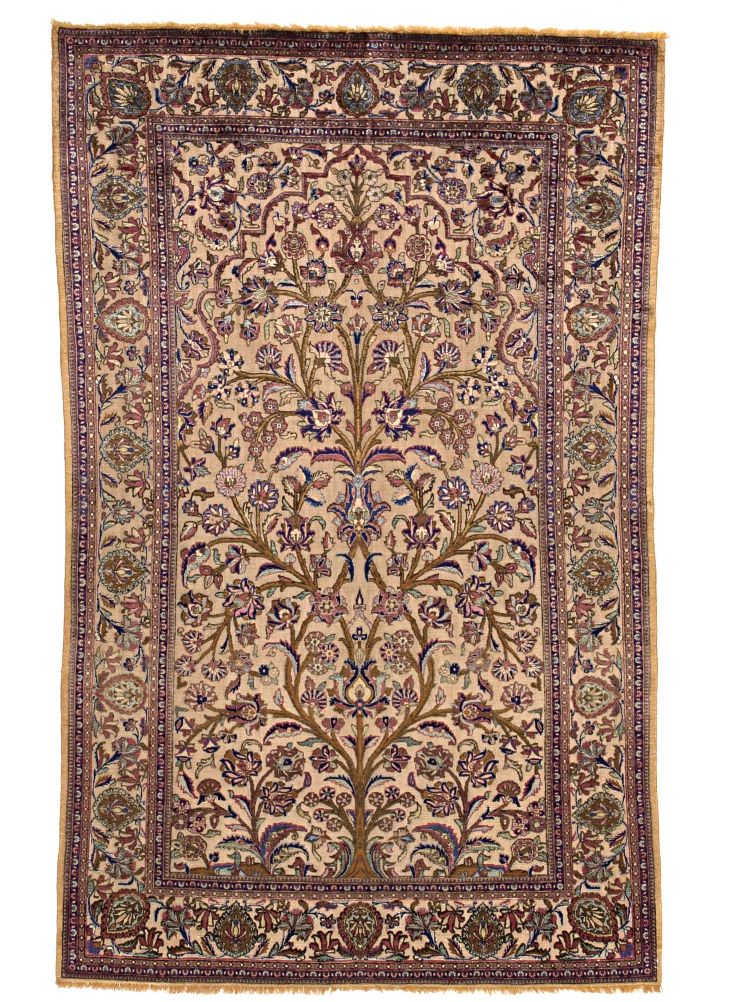 Image Lable BlueOne29-05-20-18:08:48