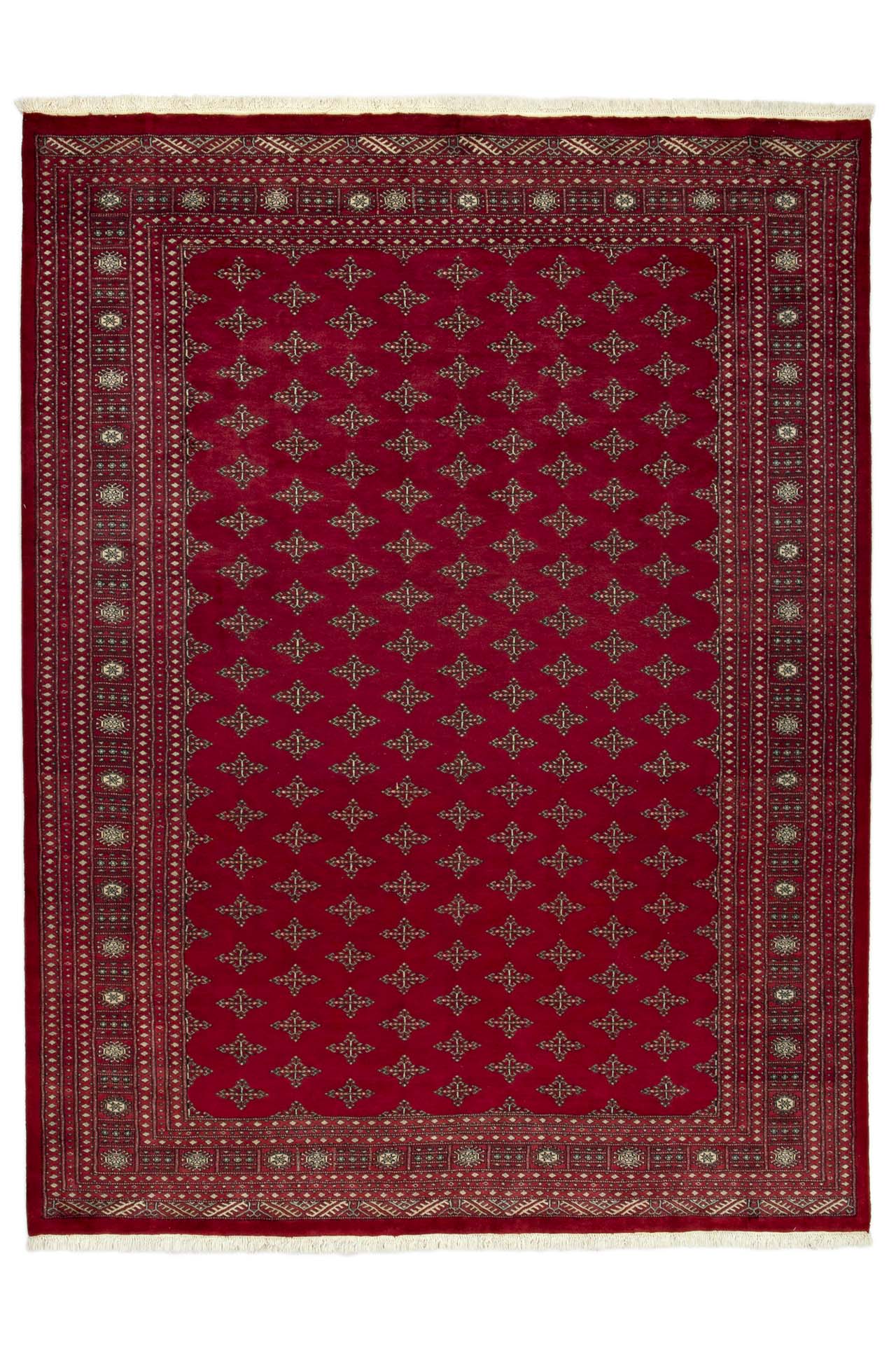 Image Lable BlueOne09-04-20-13:35:52