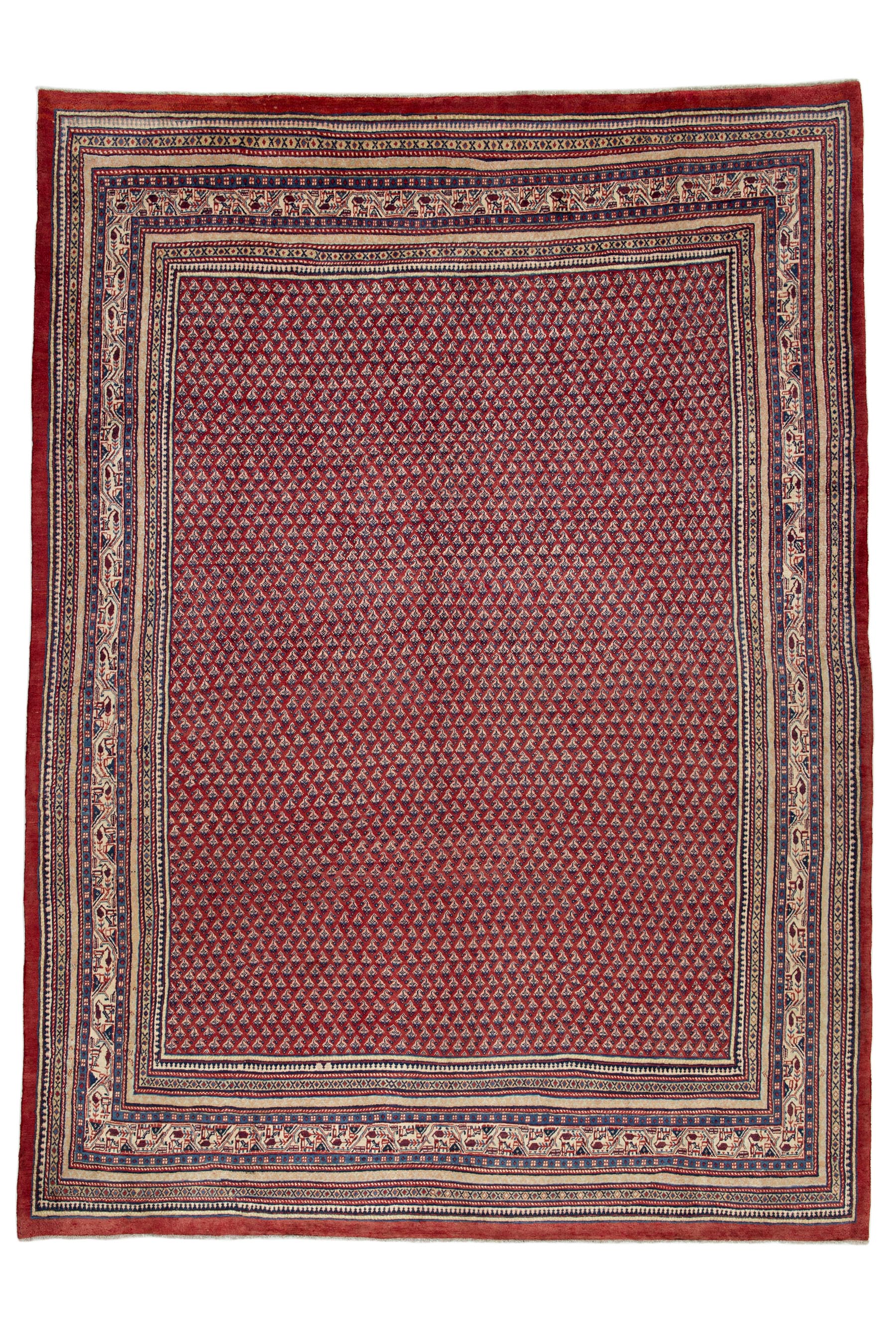 Image Lable BlueOne27-05-20-17:49:32