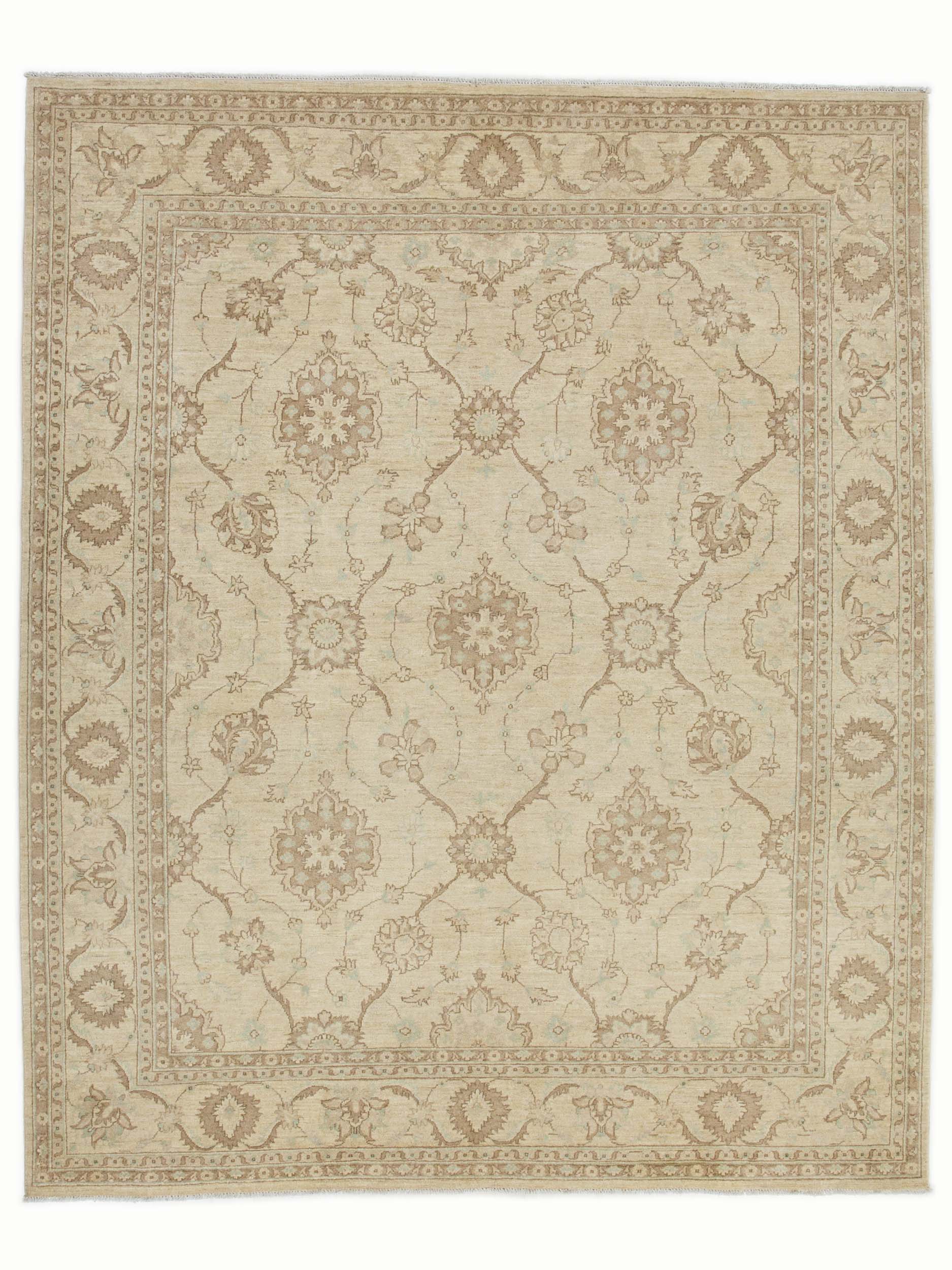 Image Lable BlueOne11-06-20-17:34:07