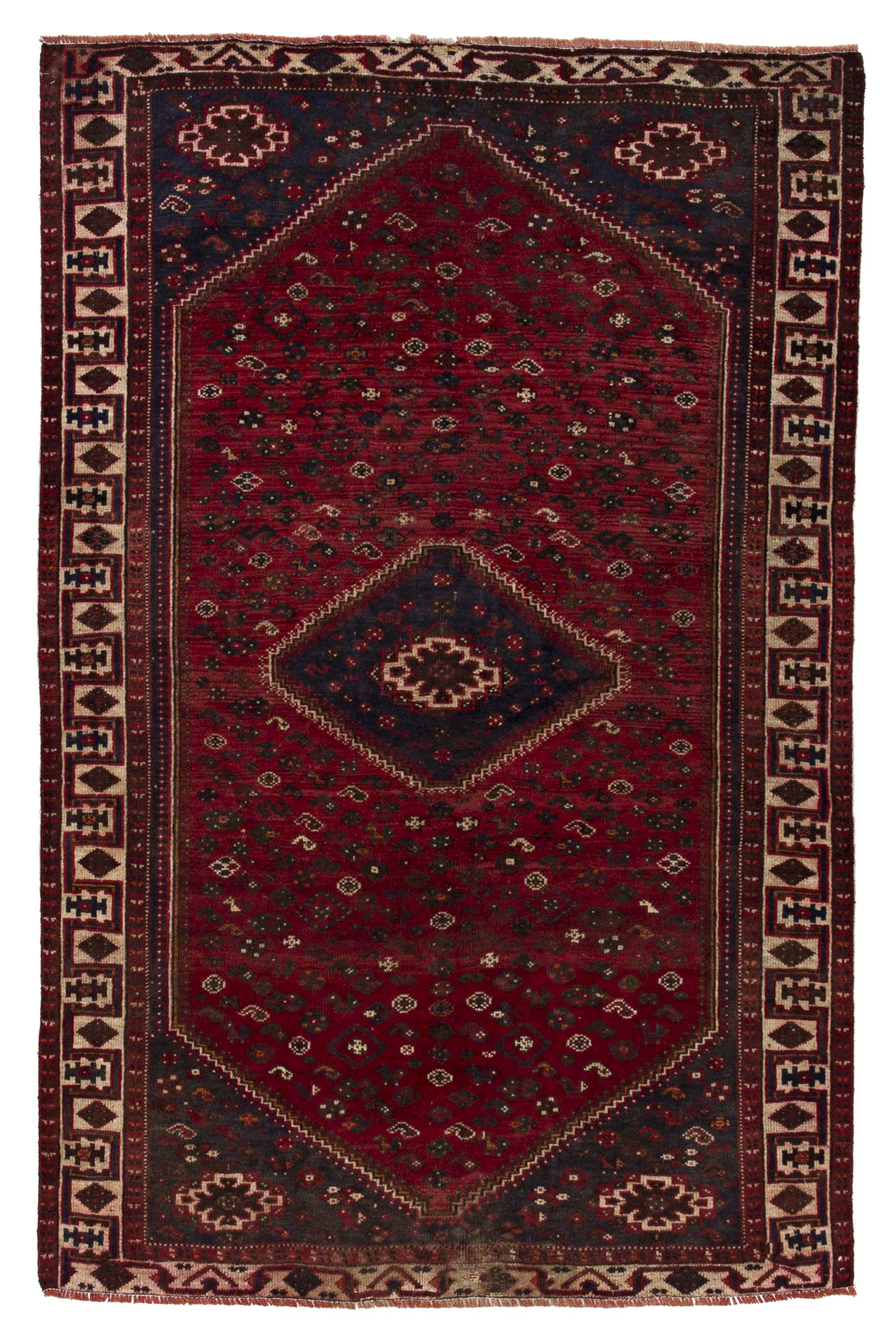 Image Lable BlueOne29-10-19-19:12:06