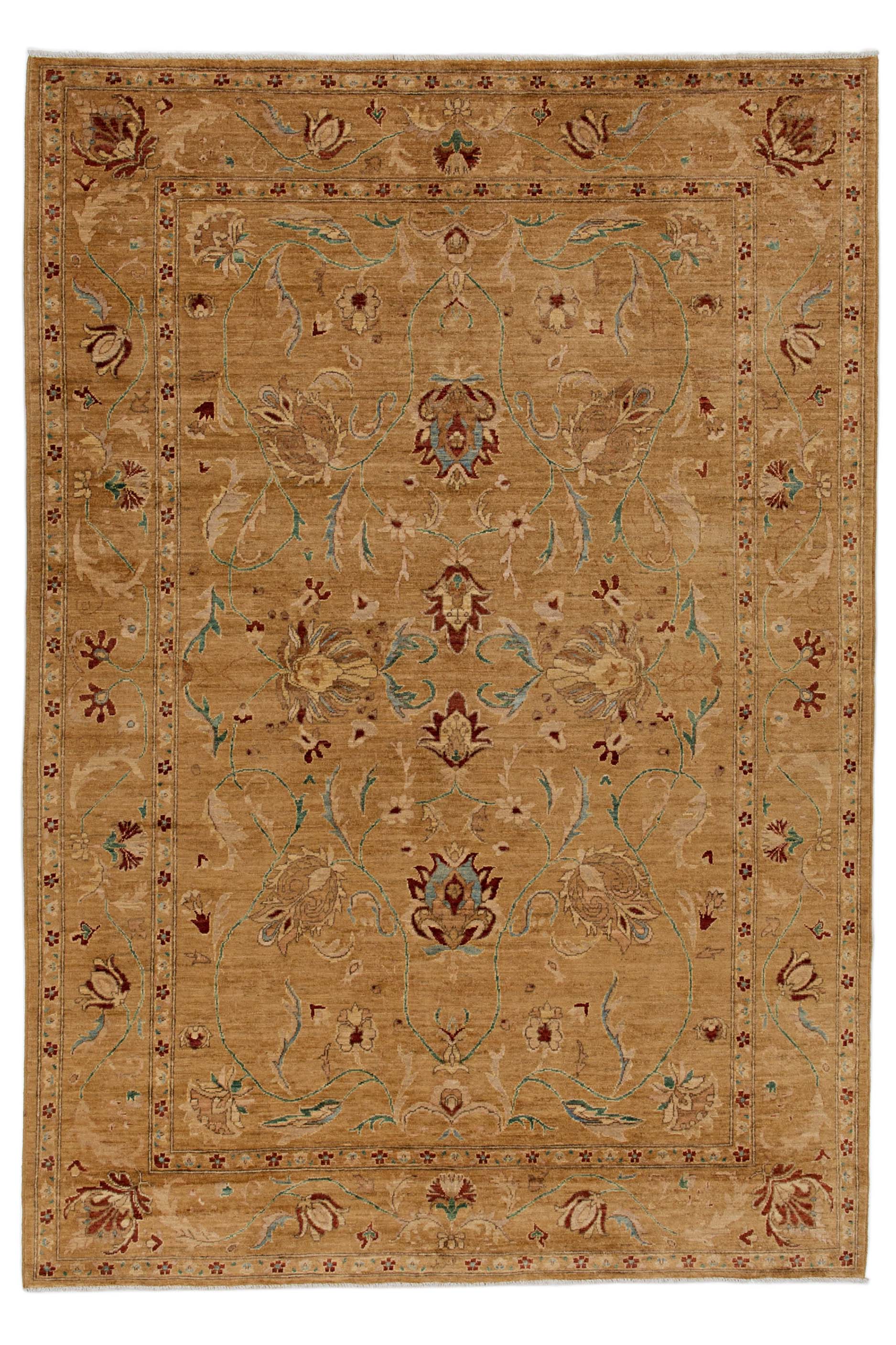 Image Lable BlueOne23-01-20-20:03:32