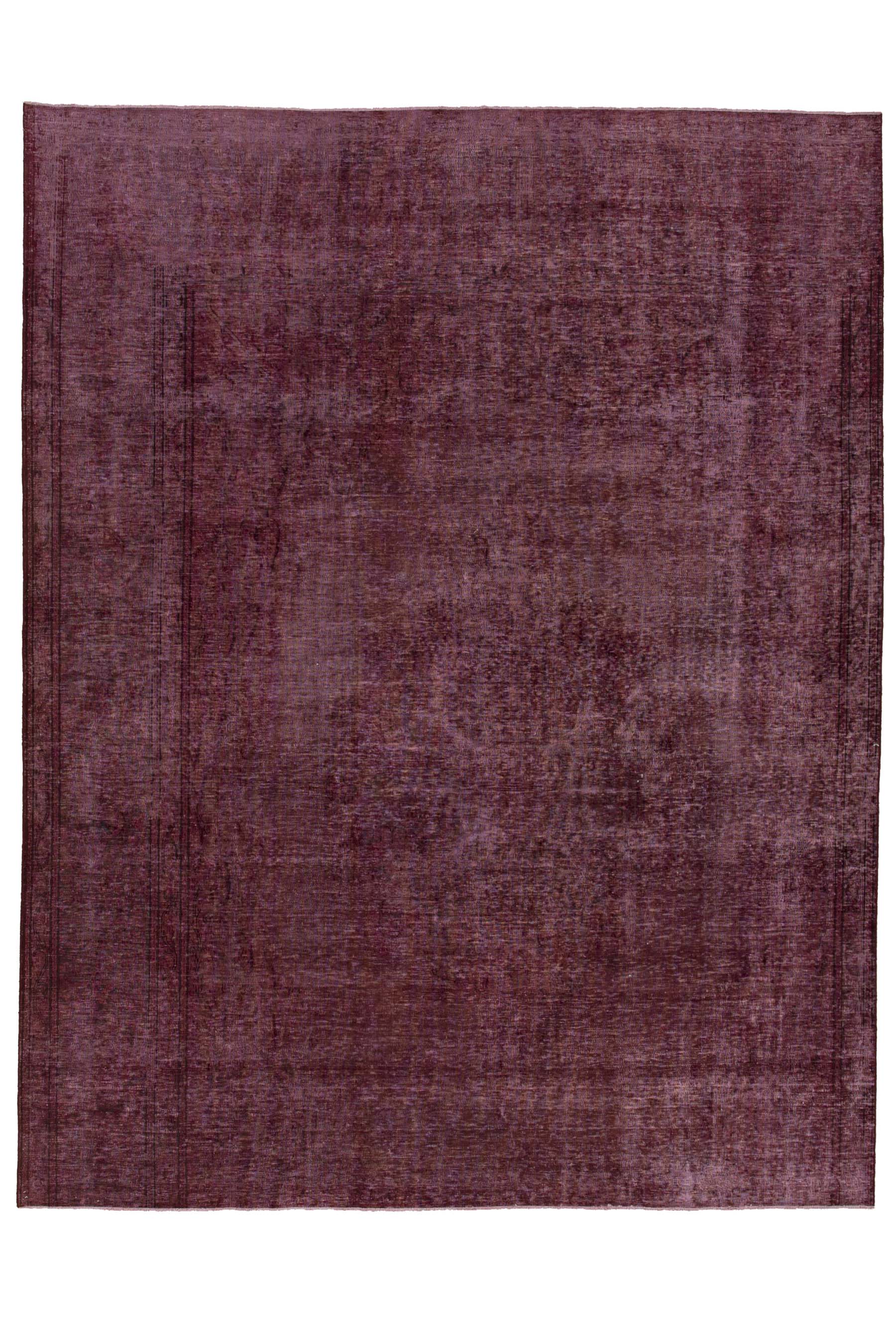 Image Lable BlueOne29-10-19-20:36:16