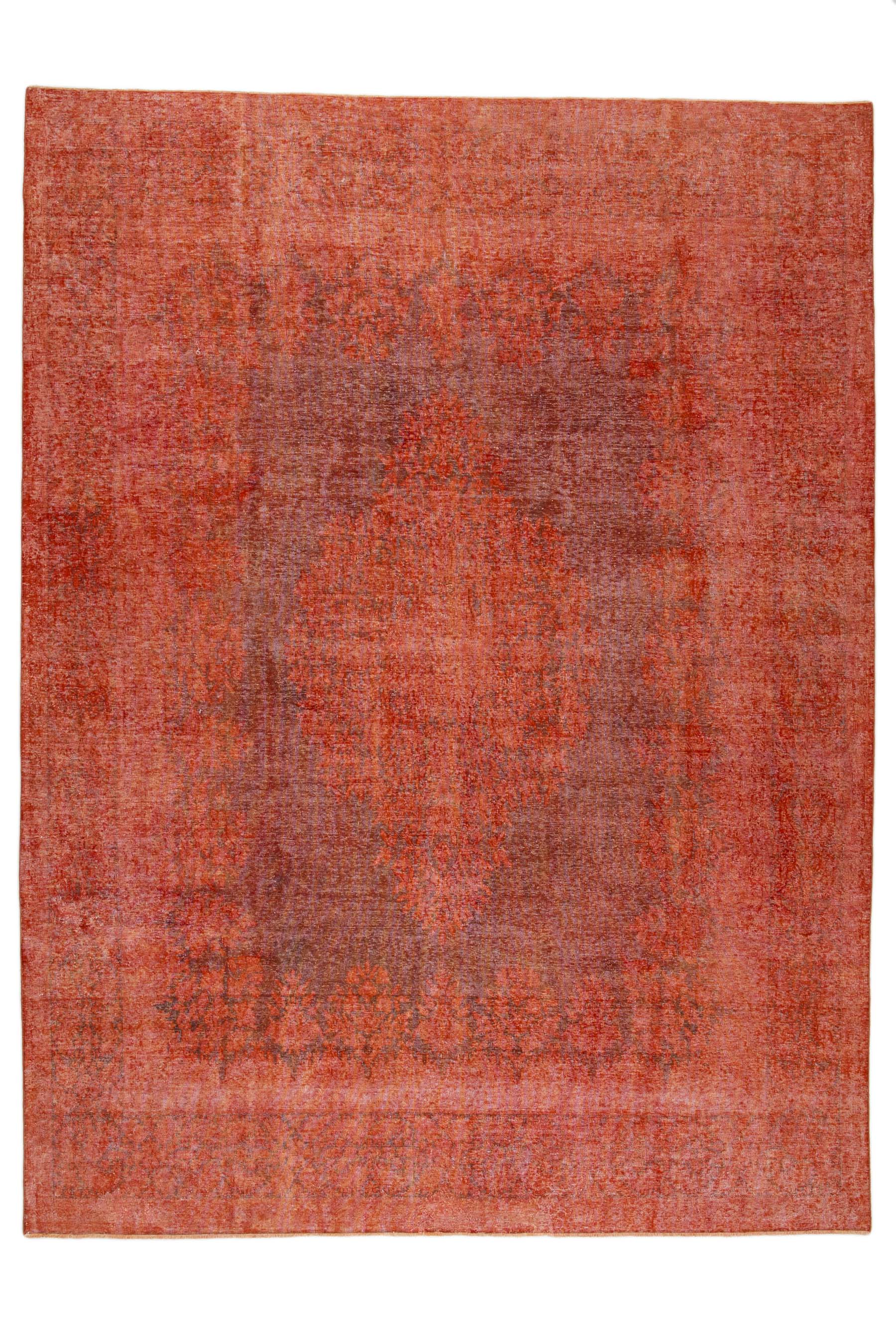 Image Lable BlueOne29-10-19-23:59:34