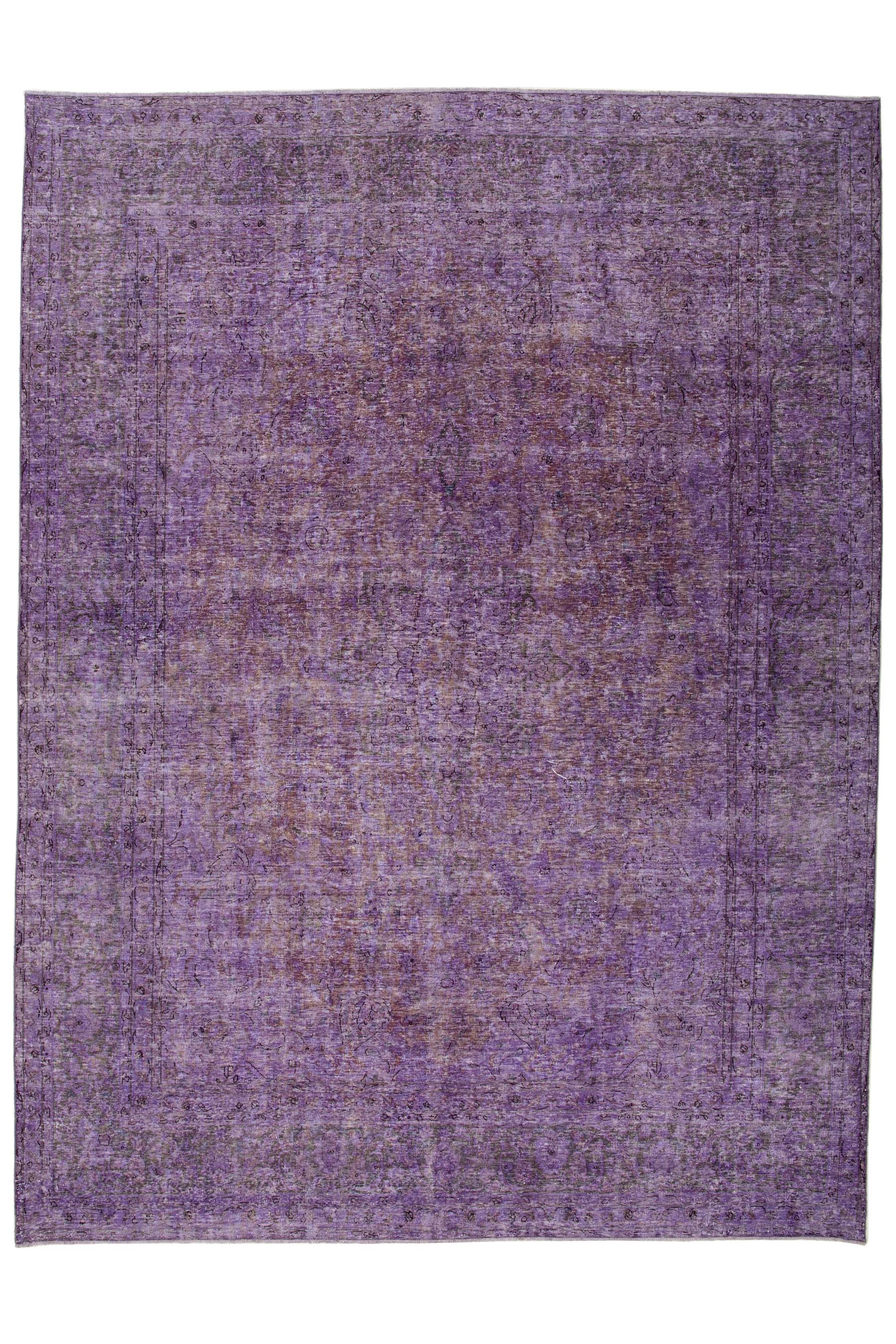 Image Lable BlueOne30-10-19-00:55:06