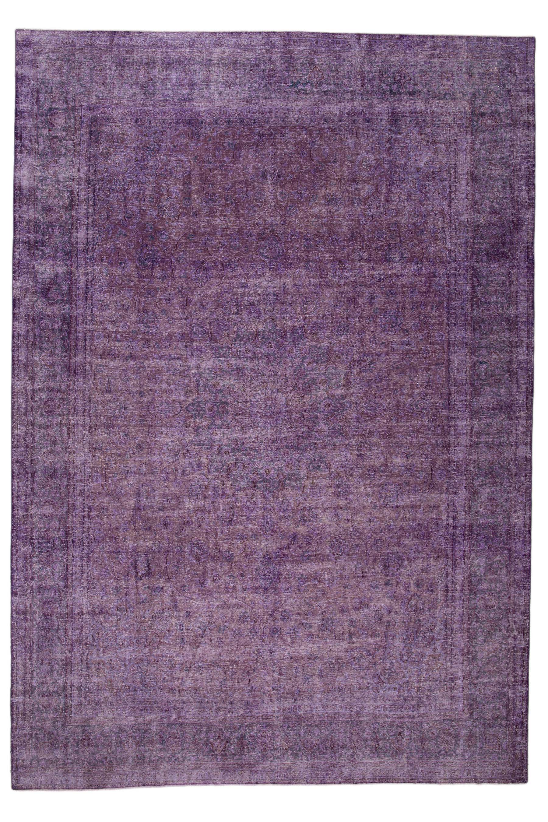 Image Lable BlueOne30-10-19-00:59:15