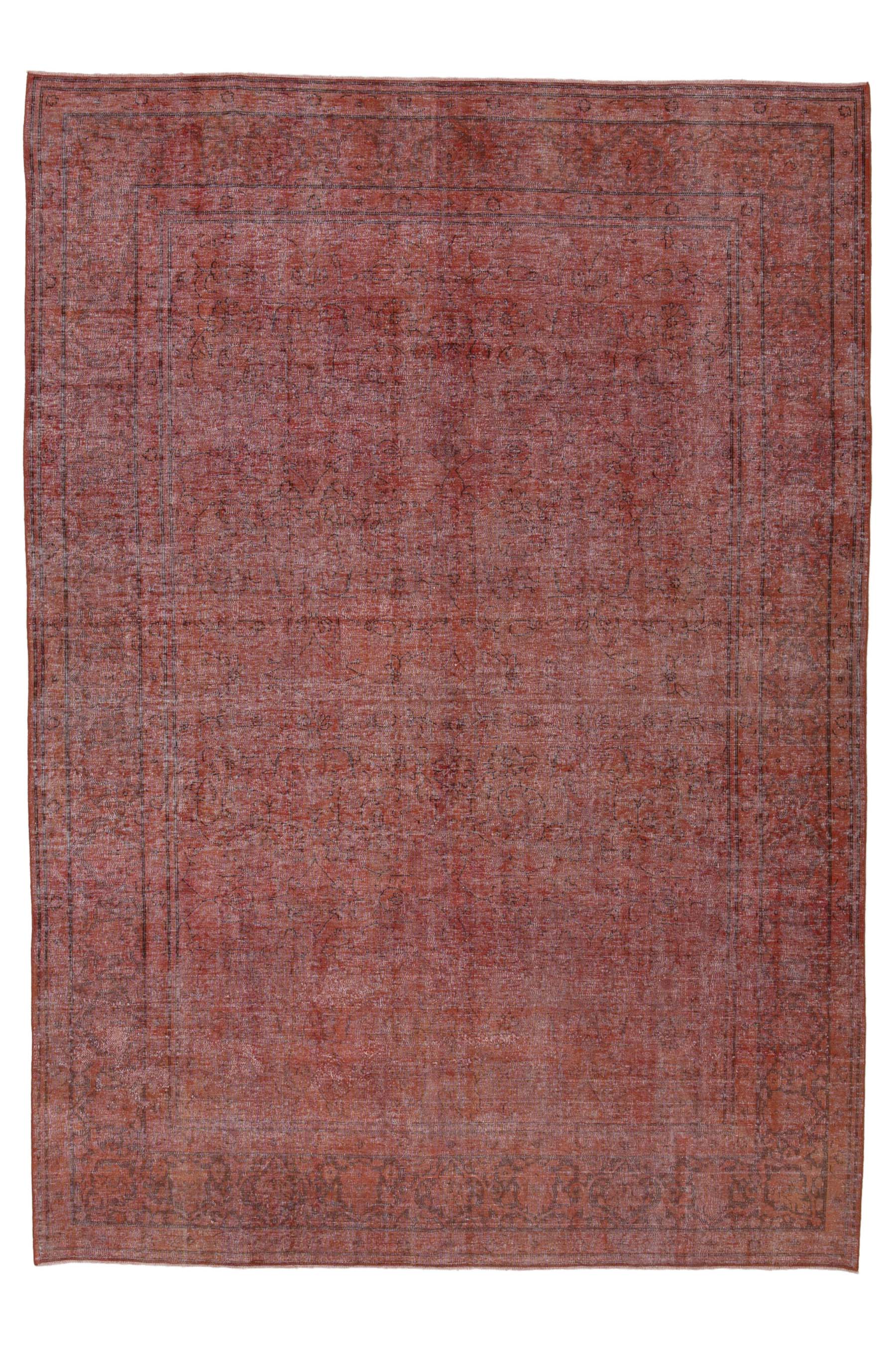 Image Lable BlueOne30-10-19-01:03:32