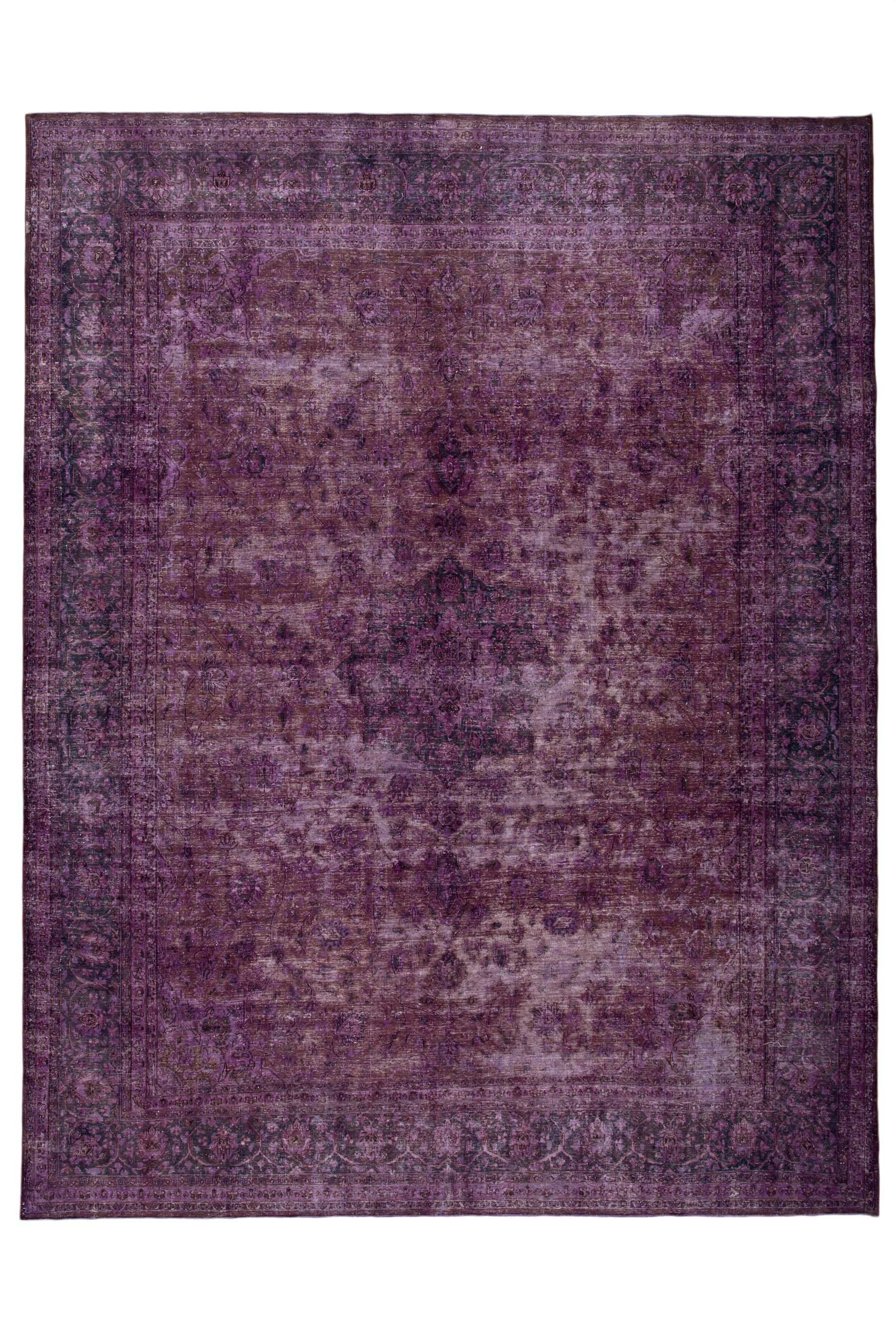 Image Lable BlueOne30-10-19-01:07:42