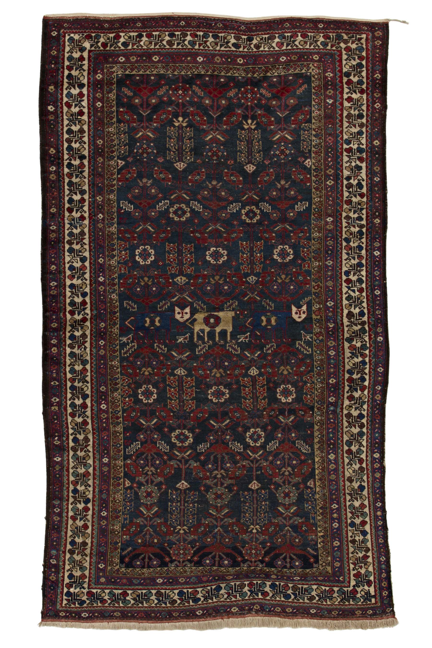 Image Lable BlueOne02-04-20-14:22:49