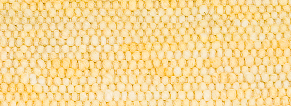 Image Lable BlueOne31-03-20-08:39:59