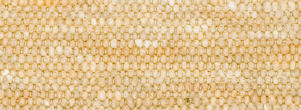 Image Lable BlueOne31-03-20-10:22:58