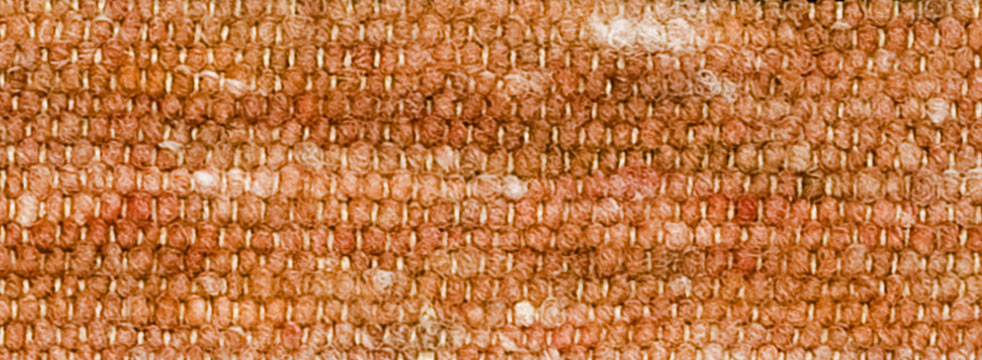 Image Lable BlueOne31-03-20-10:23:10