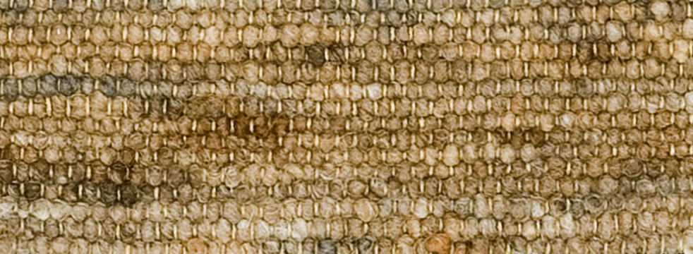 Image Lable BlueOne31-03-20-10:21:09