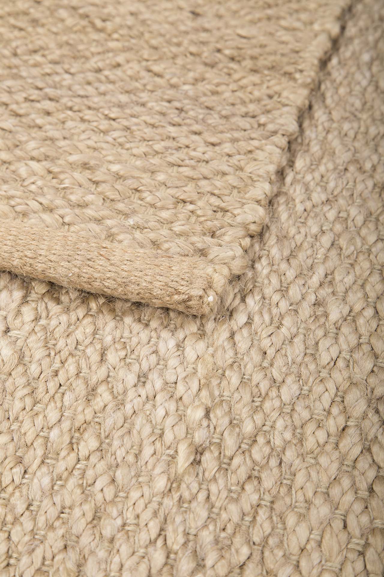 Image Lable BlueOne24-03-20-08:22:31