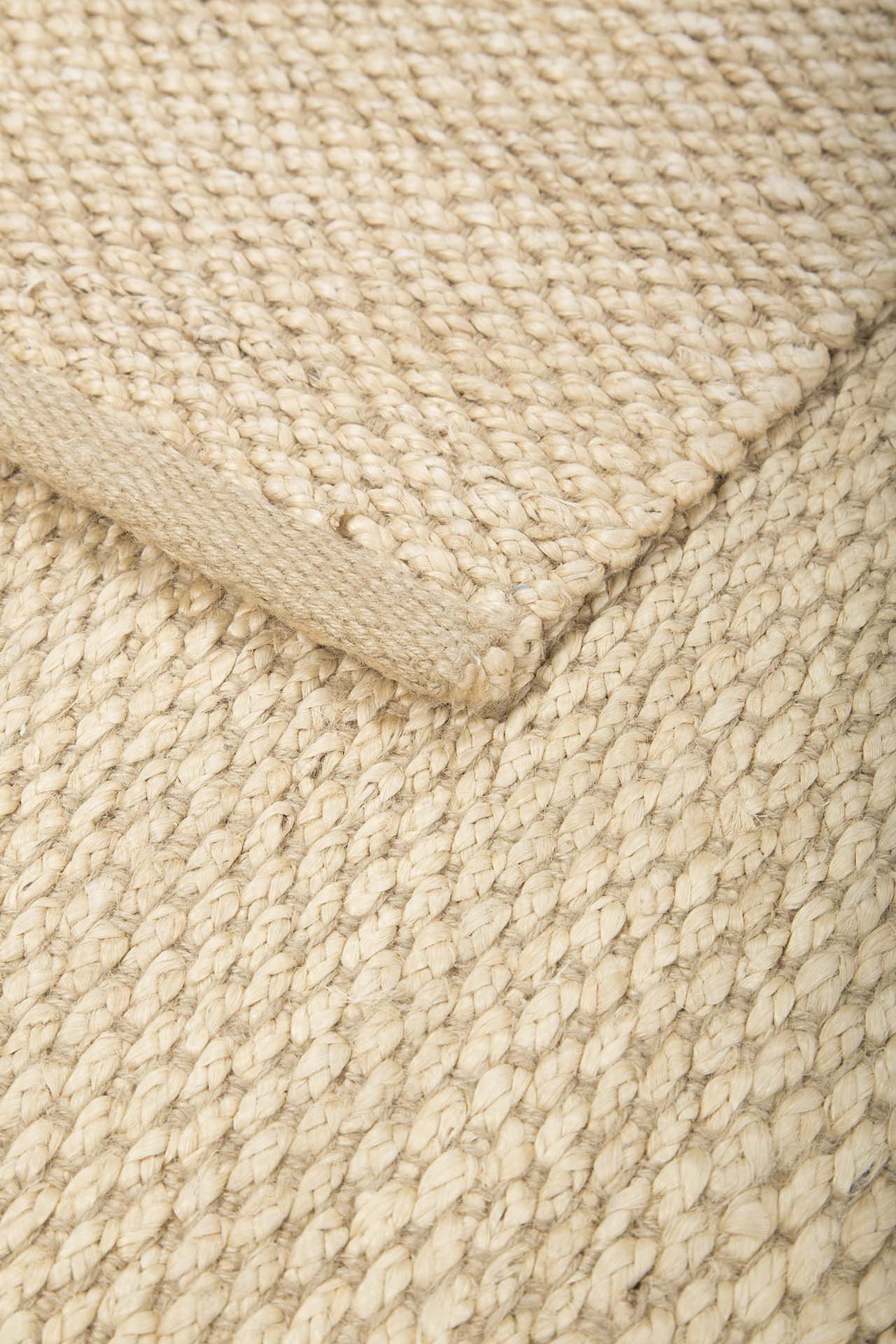 Image Lable BlueOne24-03-20-08:26:02