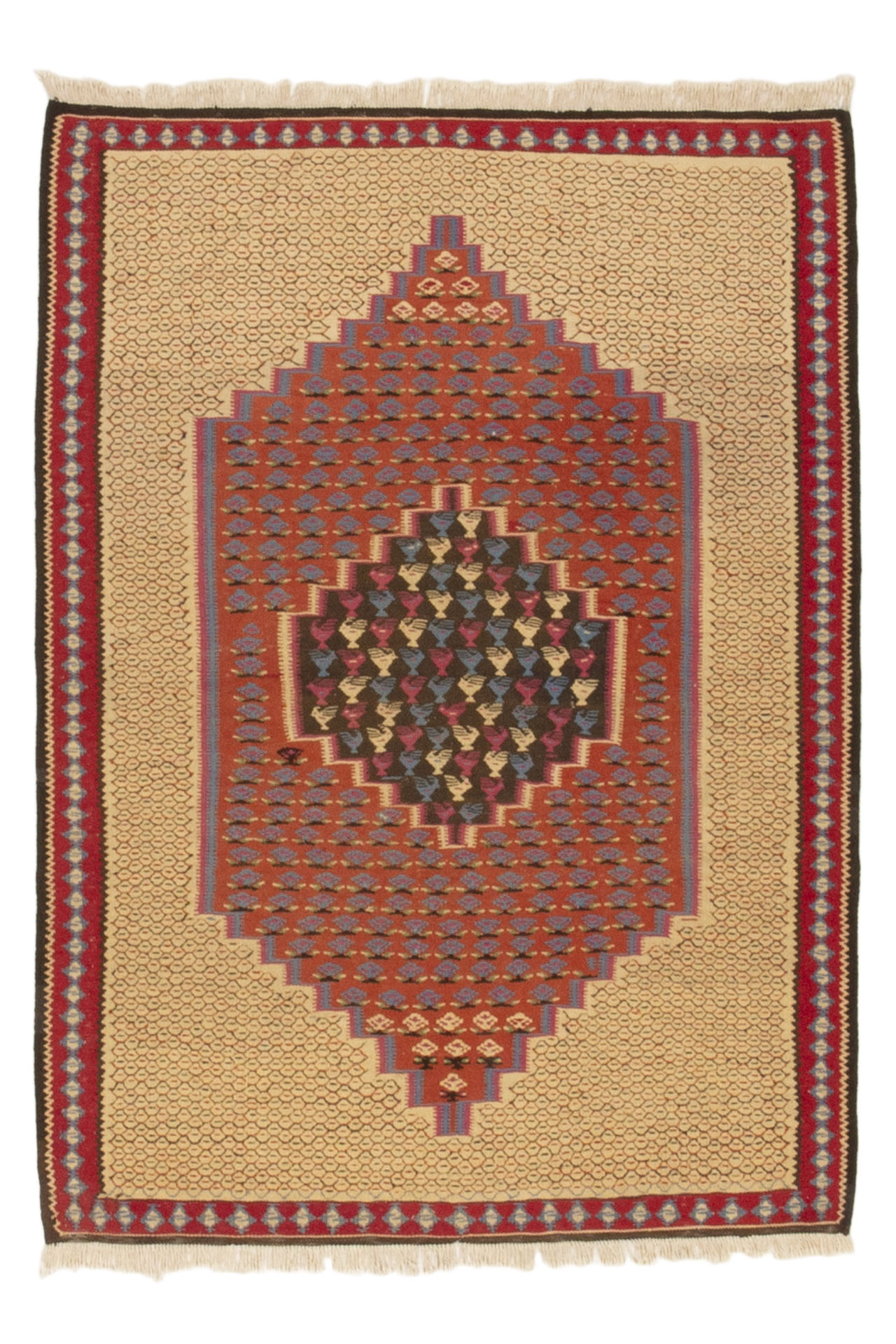 Kilim Senneh Multi