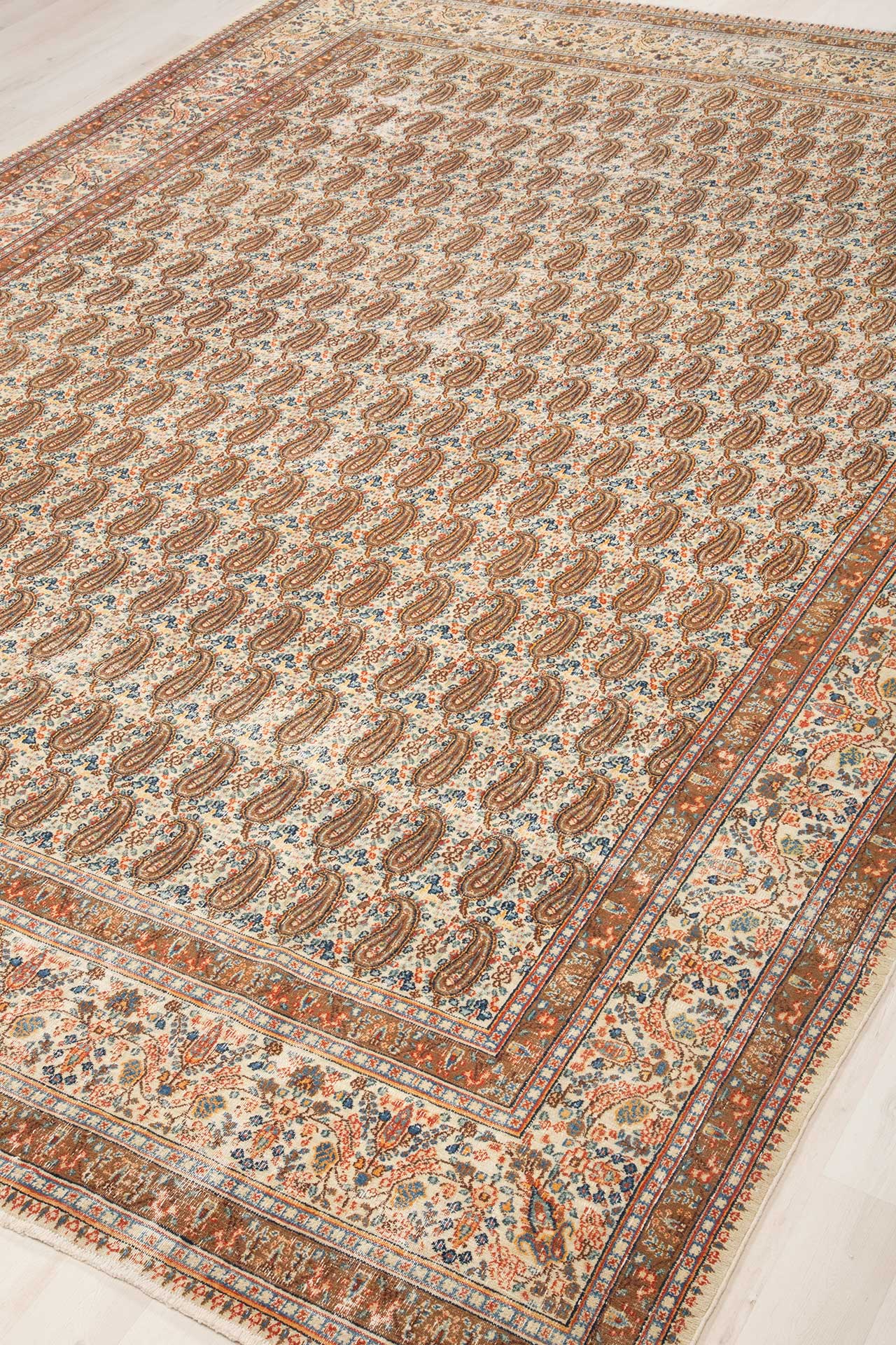 Decolorized Multi 261x349