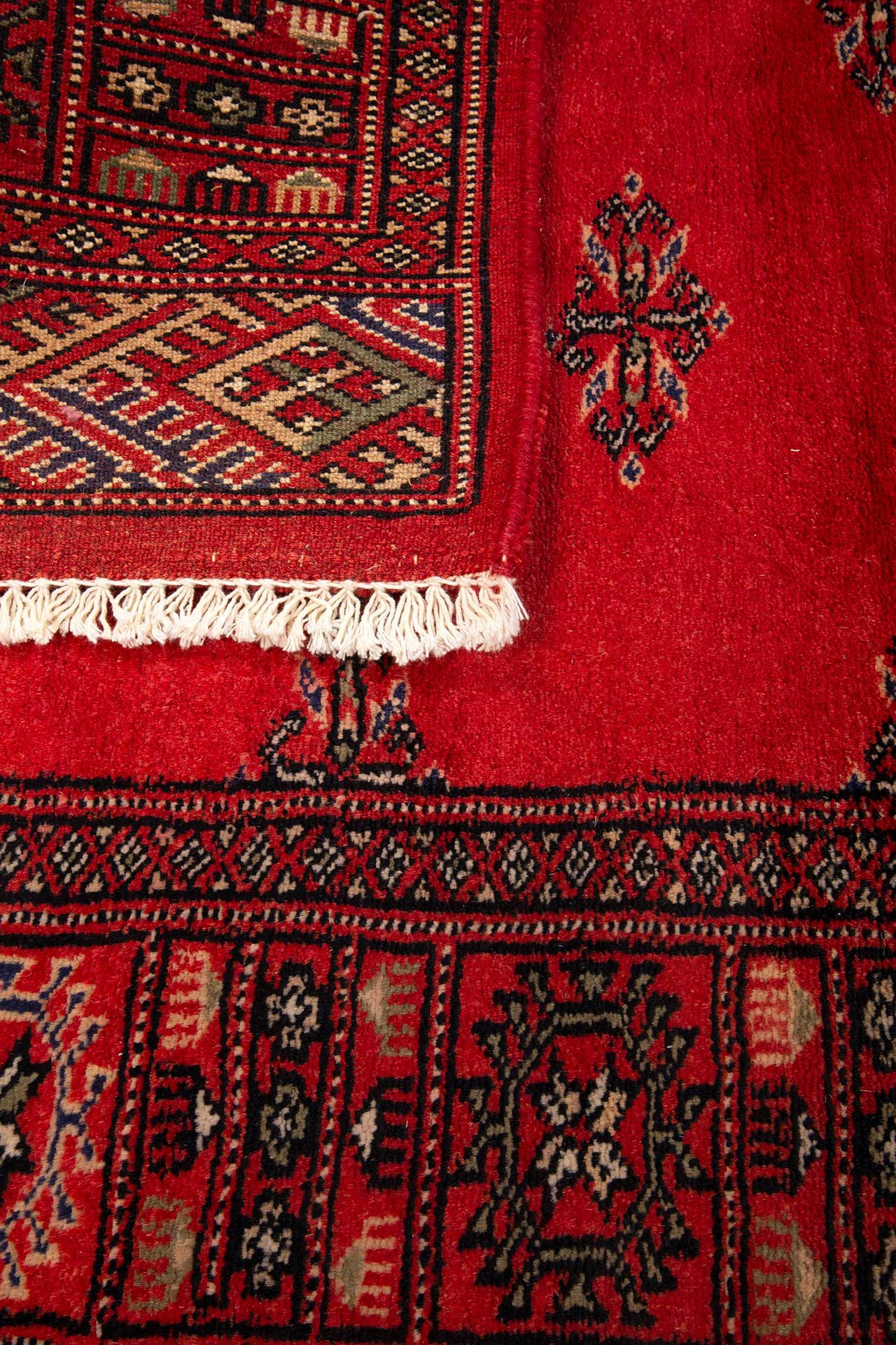 3 Ply Butterfly Red 80x300