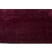 Image Lable BlueOne17-06-20-08:13:57